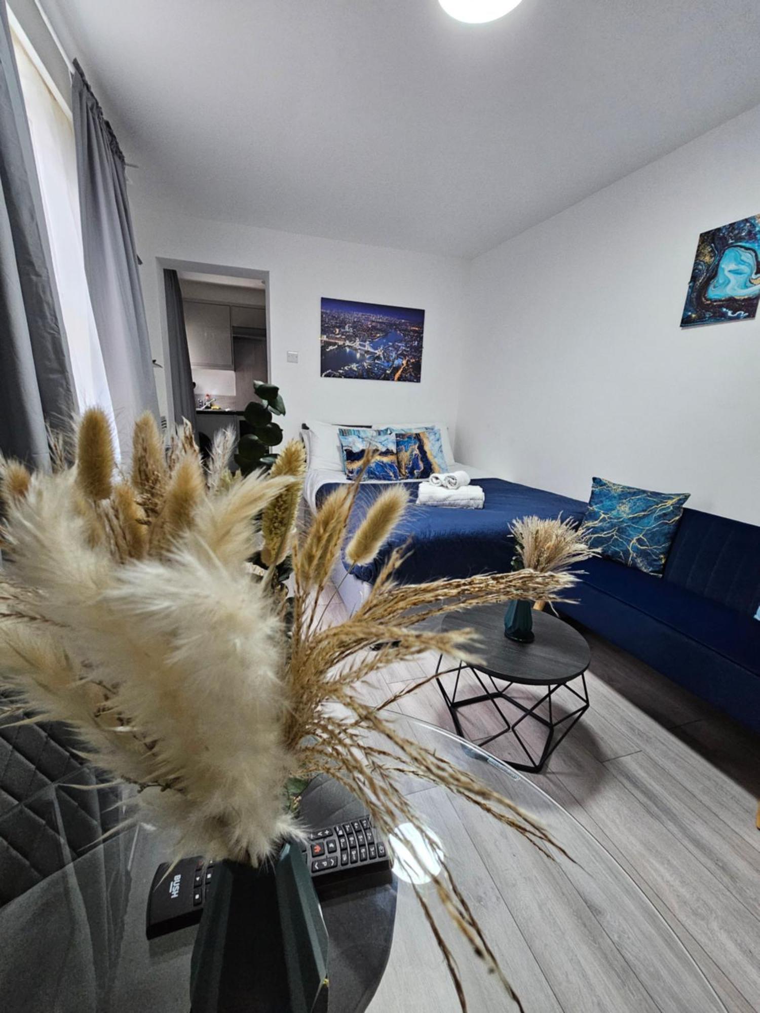 Apartament Cozy Ground-floor Studio, Excellent Access Londra
